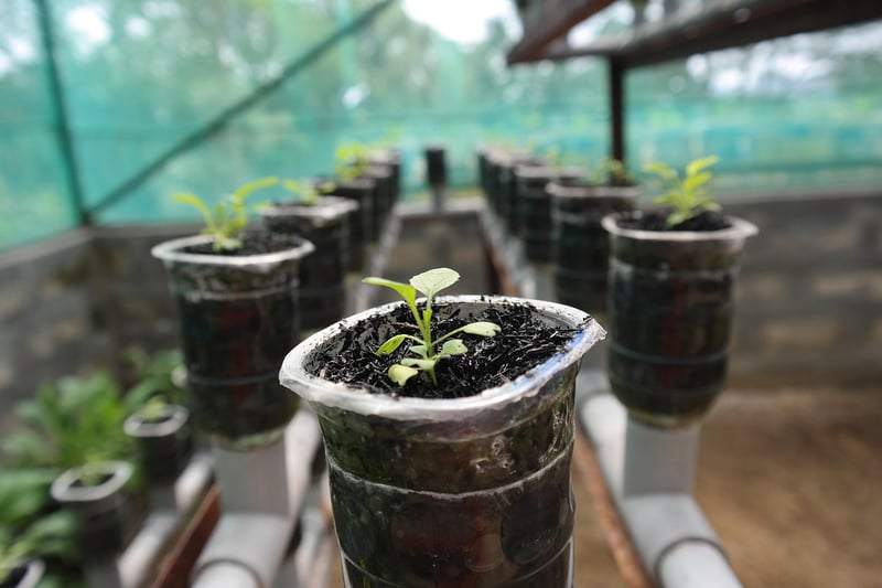 Hydroponic solutions